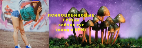 гидропоника Горно-Алтайск