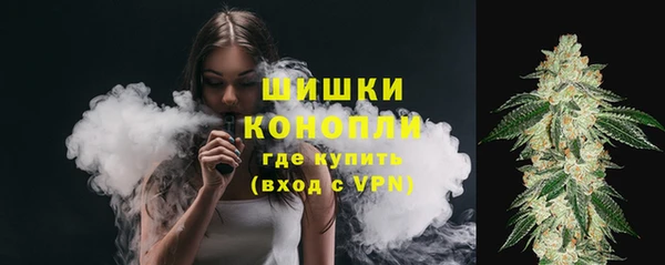 шишки Ижевск