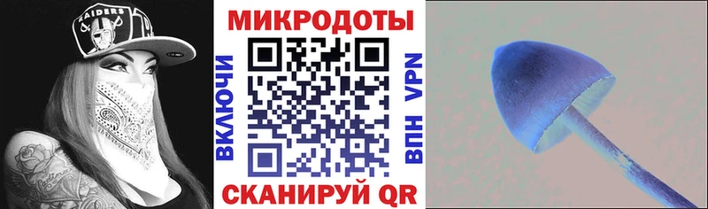 Галлюциногенные грибы Cubensis  что такое наркотик  Зуевка 