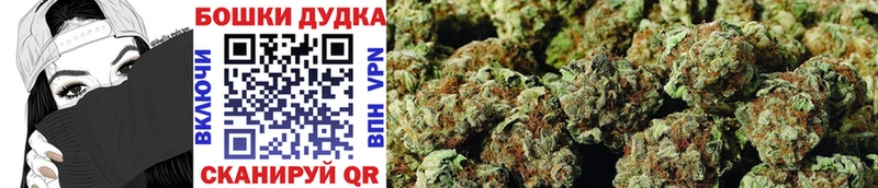 Шишки марихуана OG Kush  Зуевка 